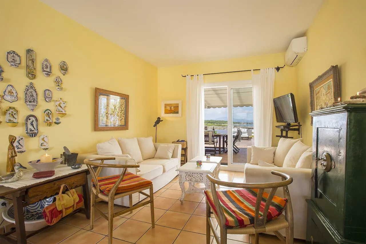Solidago Port de Alcudia  Spain